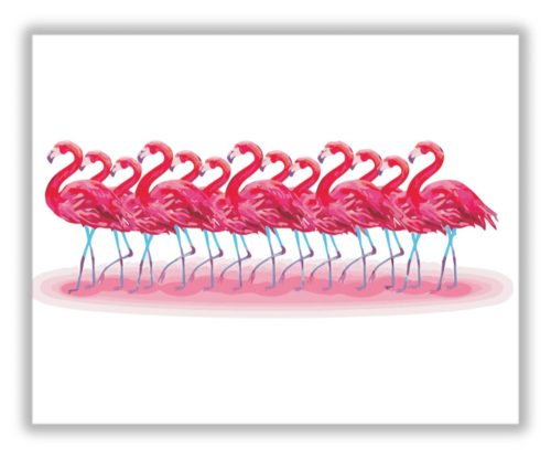 Flamingók - számfestő készlet