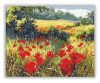 Pipacsok a Réten - számfestő készlet  - Számfestő.hu