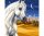 A sivatag hercege - Royal Paris - Előfestett Gobelin Hímzőkanava 45x60 cm