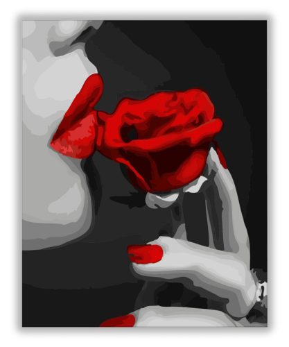 Vörös Rózsa - számfestő készlet