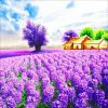 Levendula Farm  - gyémántszemes kirakó