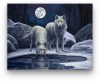 Farkasok Telihold Éjjelén - akciós számfestő készlet (20x30cm)