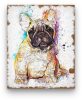 Francia Bulldog - számfestő készlet kezdőknek (30x40cm)