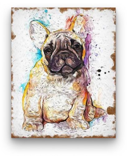 Francia Bulldog - számfestő készlet kezdőknek (30x40cm)