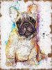 Francia Bulldog - számfestő készlet kezdőknek (30x40cm)