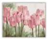 Rózsaszín Tulipánok - akciós számfestő készlet (30x40cm)