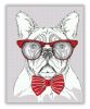 Szemüveges Francia Bulldog - akciós számfestő készlet (50x65cm)