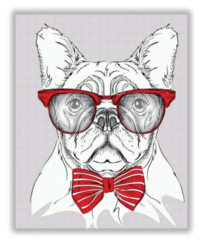 Szemüveges Francia Bulldog - számfestő készlet kezdőknek (50x65cm)