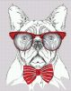 Szemüveges Francia Bulldog - akciós számfestő készlet (50x65cm)