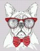 Szemüveges Francia Bulldog - számfestő készlet kezdőknek (50x65cm)