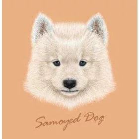 Samoyed Kutyus  - gyémántszemes kirakó