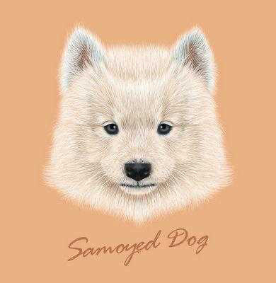 Samoyed Kutyus  - gyémántszemes kirakó