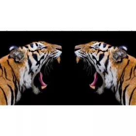 Tigris Vita  - gyémántszemes kirakó