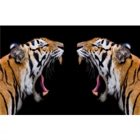 Tigris Vita  - gyémántszemes kirakó