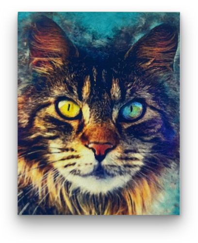 Macska tekintet - előszínezett számfestő készlet (30x40cm)