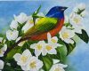 Színes madárka virágon - előszínezett számfestő készlet (30x40cm)