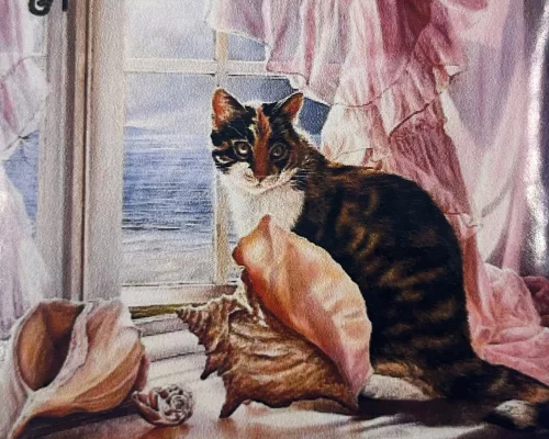 Cica kilátás - előszínezett számfestő készlet (40x50cm)