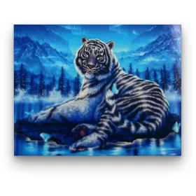 Havas Tigris - előszínezett számfestő készlet (50x65cm)