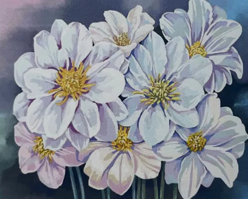 Fehér virágszirmok - előszínezett számfestő készlet (50x65cm)