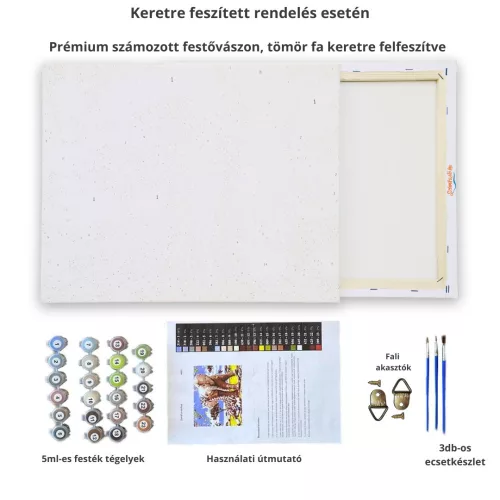 Absztrakt Zenészek - számfestő készlet - Számfestő.hu - 50×60cm - keretre feszítve