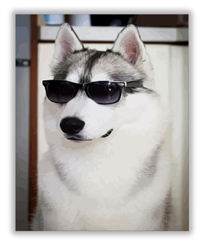 Kutya napszemüvegben - számfestő készlet
