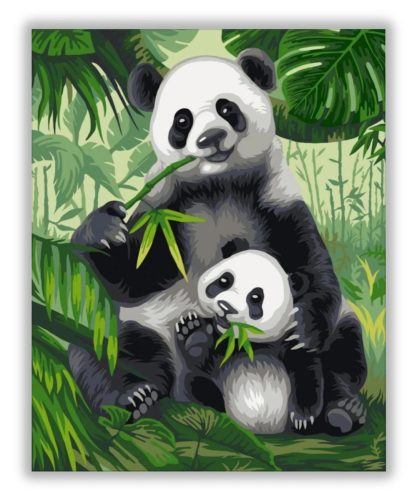 Pandák - számfestő készlet