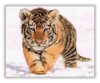 Kis tigris - számfestő készlet