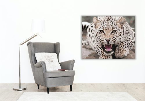 Jaguár - számfestő készlet - Számfestő.hu - 50×60cm - keret nélkül