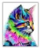 Színes cica - számfestő készlet
