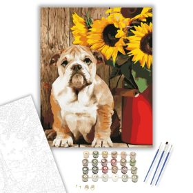 Bulldog - számfestő készlet - Számfestő.hu - 40×50cm - keret nélkül