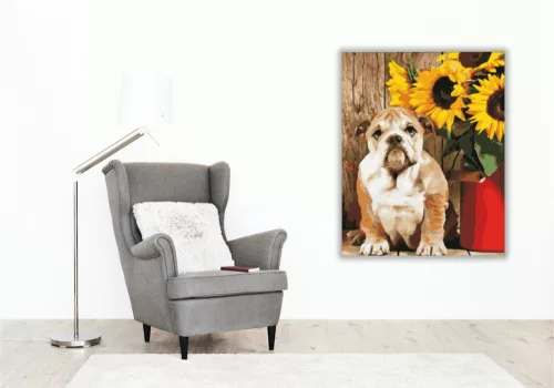 Bulldog - számfestő készlet - Számfestő.hu - 80×100cm - keretre feszítve
