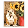Bulldog - számfestő készlet - Számfestő.hu - 40×50cm - Keret nélkül
