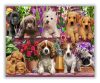 Kutyák csoportja - számfestő készlet