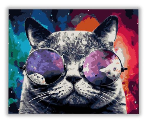 Macska napszemüvegben - számfestő készlet