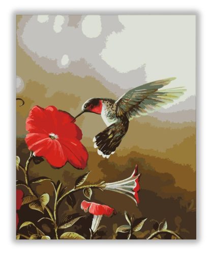 Kolibri - számfestő készlet