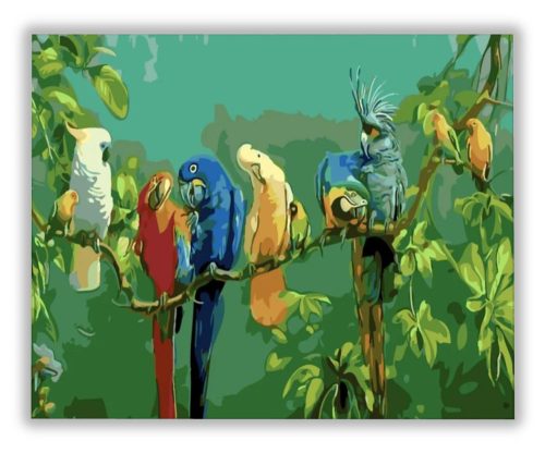 Papagáj gyűlés - számfestő készlet