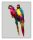 Színes papagájok - számfestő készlet
