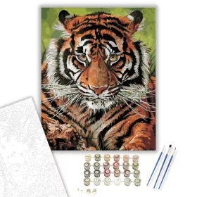 Gyönyörű tigris - számfestő készlet - Számfestő.hu - 40×50cm - keret nélkül