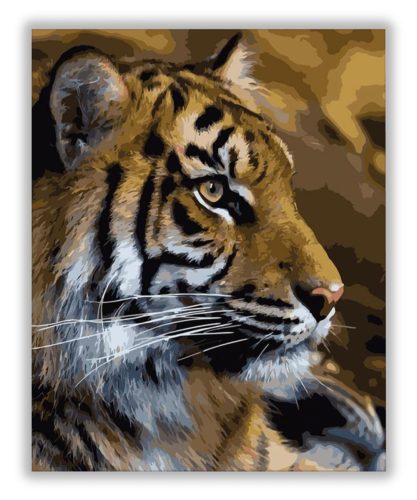 Tigris - számfestő készlet