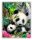 Pandák 2 - számfestő készlet