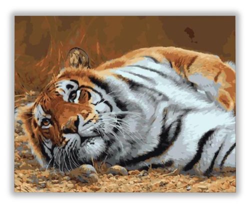 Pihenő tigris - számfestő készlet
