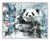 Panda vacsora - számfestő készlet