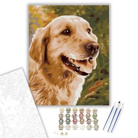 Gyönyörű kutya - számfestő készlet - Számfestő.hu - 40×50cm - keret nélkül