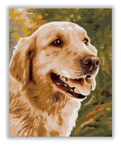 Gyönyörű kutya - számfestő készlet