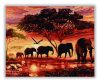Elefántok a szavannán - számfestő készlet