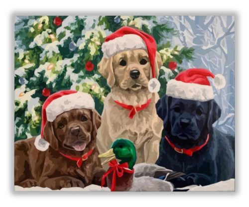 Karácsonyi kutyusok - számfestő készlet