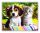 Cica-kutyus barátság - számfestő készlet