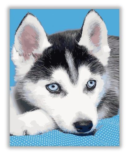Husky kölyök - számfestő készlet - Számfestő.hu