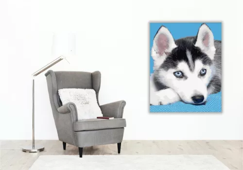 Husky kölyök - számfestő készlet - Számfestő.hu - 50×60cm - keretre feszítve