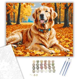 Őszi kalandok arany retrieverrel - számfestő készlet - Számfestő.hu - 40×50cm - keret nélkül